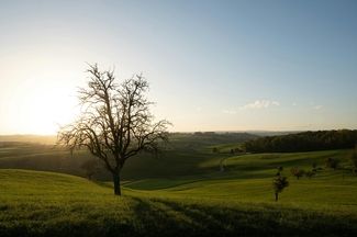 Landschaftsbild aus Siblingen SH